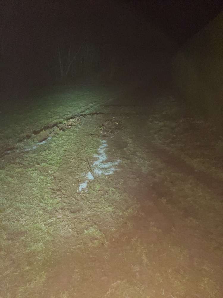 Giftköder-blau-weißes Streugut-Profilbild