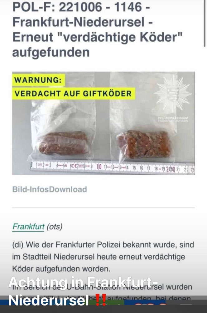 Giftköder-Verdacht auf Giftköder in Niederursel-Profilbild