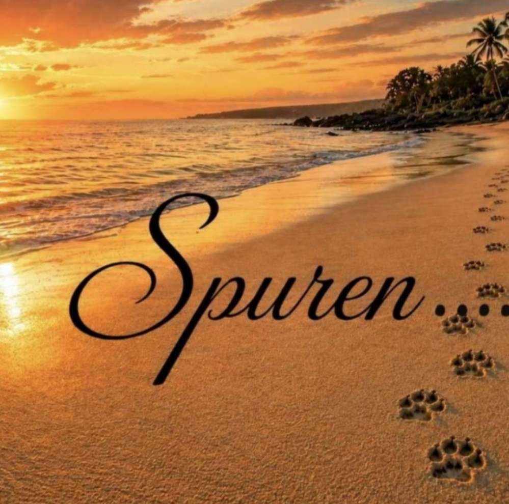 32. KI Wettbewerb: Spuren... Banner