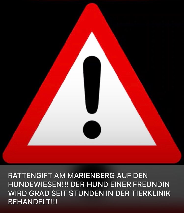 Giftköder-Rattengift auf Hundewiese Marienbergpark-Profilbild