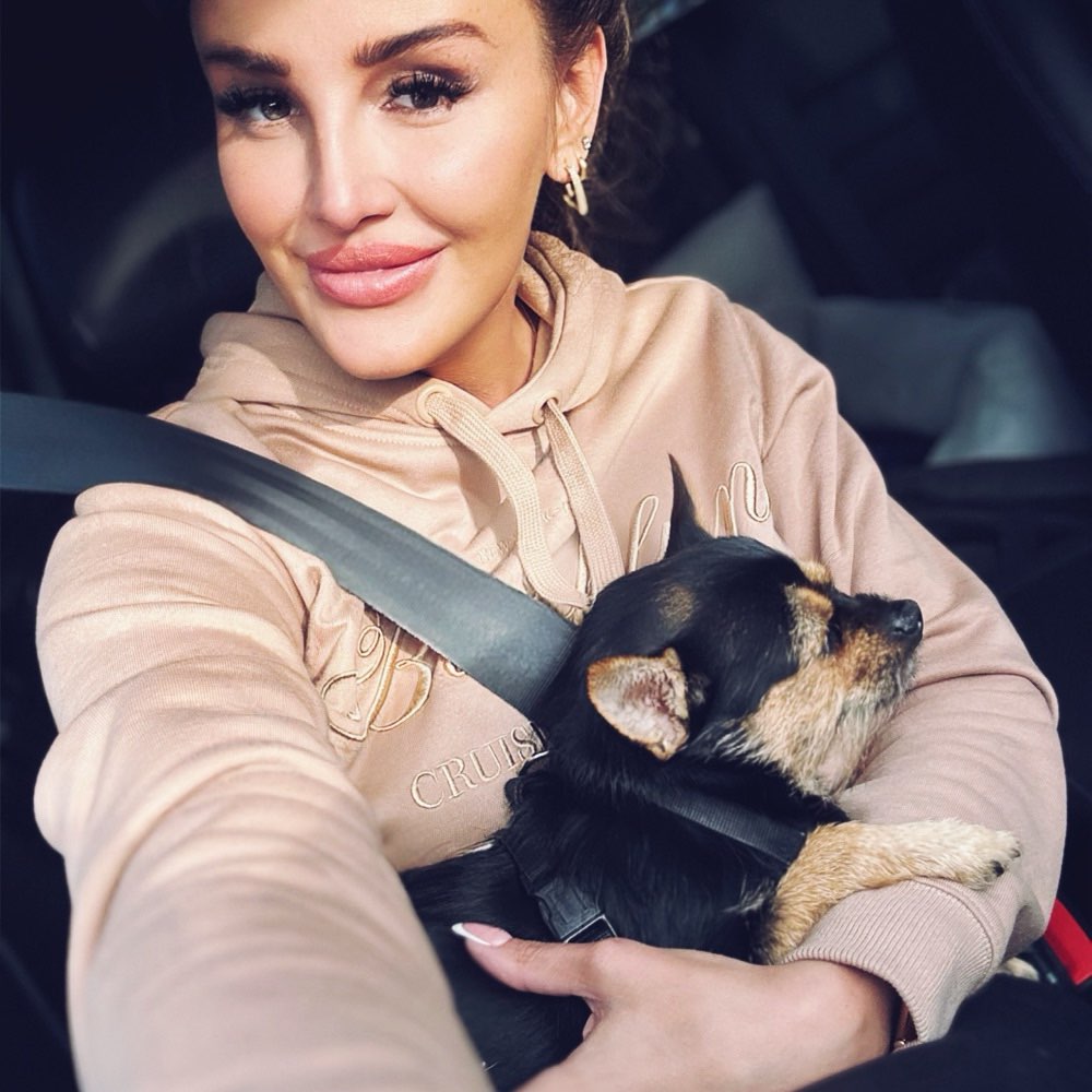 Hundetreffen-Klein Hunde Treffen / Play Date / Gassi-Profilbild