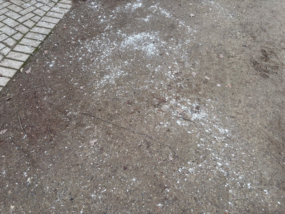 Giftköder-Weißes Pulver-Profilbild