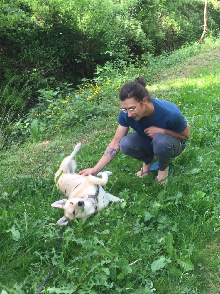 Hundetreffen-auf der Suche nach neuen Spazierwegen!-Profilbild