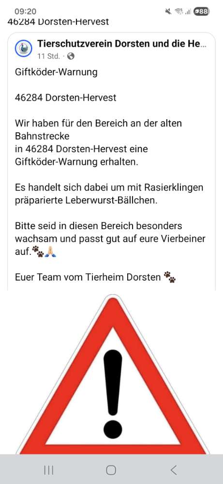 Giftköder-Giftköder - siehe Screenshot-Profilbild