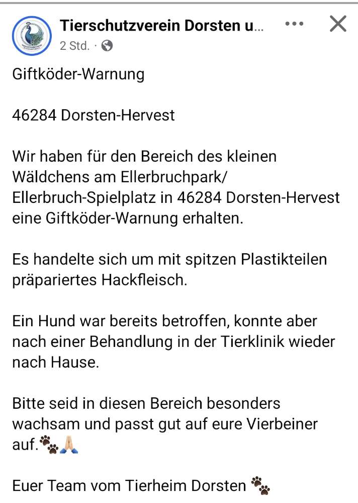 Giftköder-Giftköder - siehe Meldung Tierheim-Profilbild