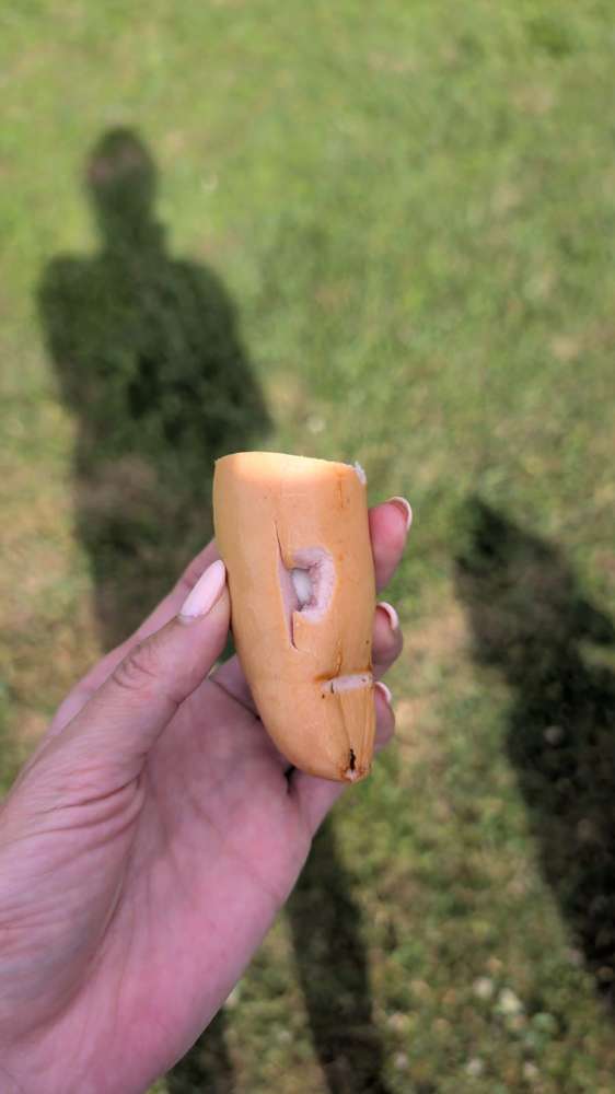 Giftköder-Wurst mit Tabletten in Dimbach-Bretzfeld-Profilbild