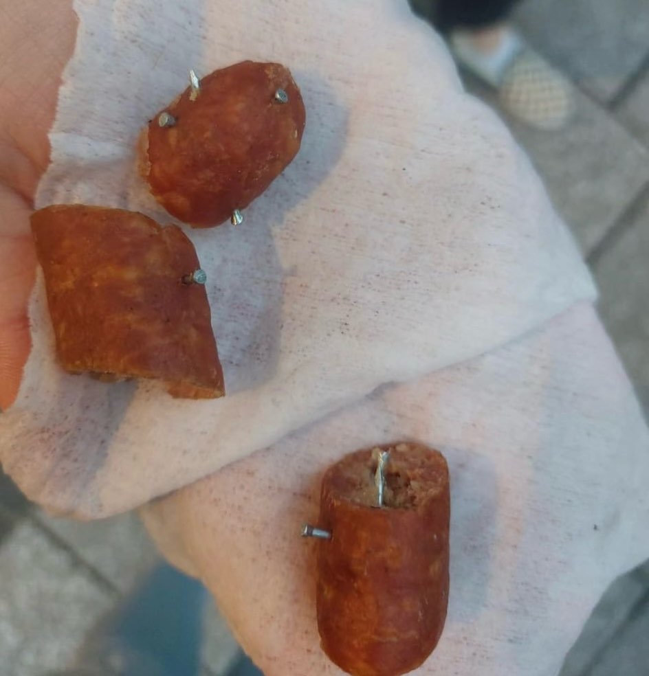 Giftköder-Wurst mit Nägeln-Profilbild