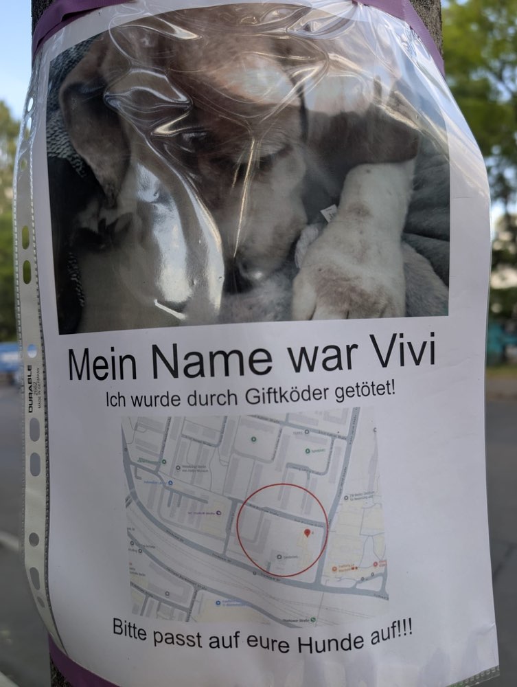 Giftköder-Hund an Giftköder gestorben :(-Profilbild