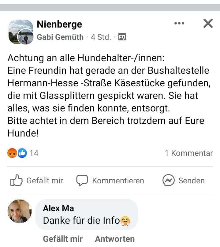 Giftköder-Käse mit Glasstücken-Profilbild