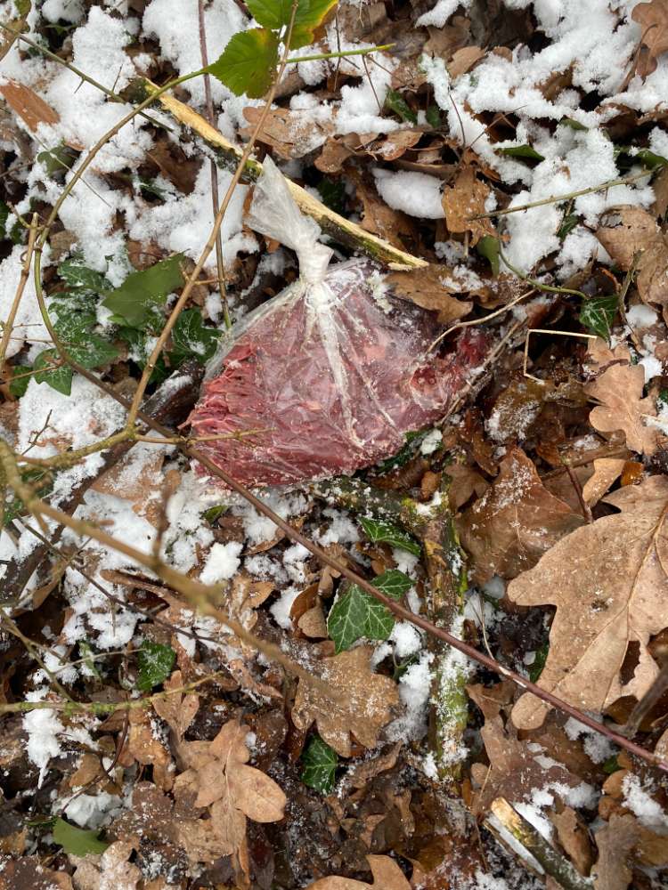 Giftköder-Giftköder-Profilbild