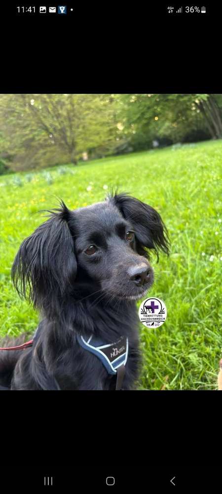 Suchmeldung-Sky-Profilbild