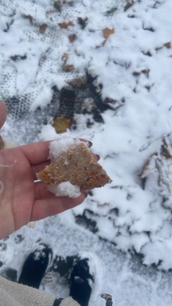 Giftköder-Möglicherweise Giftköder-Profilbild