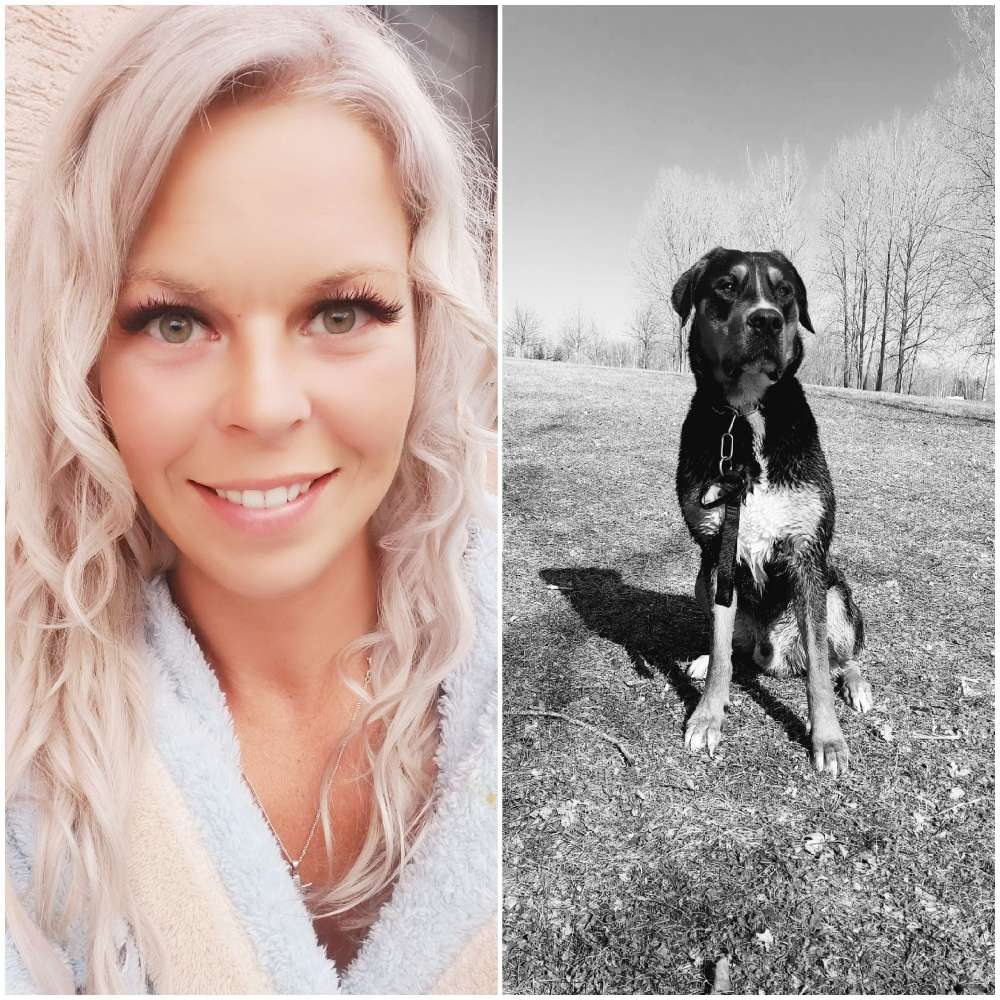 Hundetreffen-Iron sucht Spielpartner auf Hundewiesen ohne Leine-Profilbild
