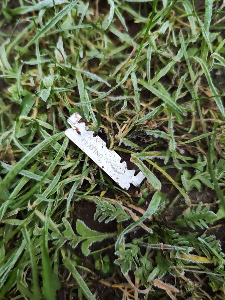 Giftköder-Rasierklinge-Profilbild