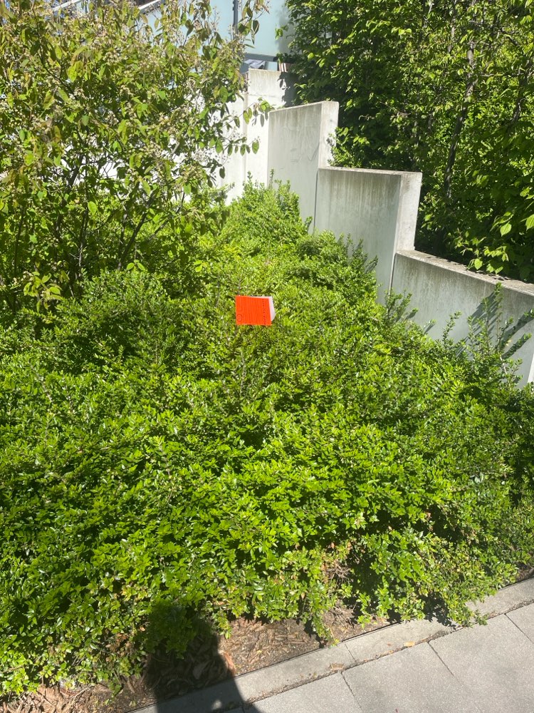 Giftköder-Giftköder-Profilbild