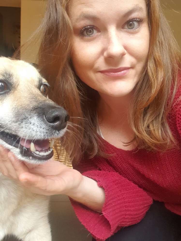 Hundetreffen-Ruhige Treffen, spazieren gehen, trainieren-Profilbild