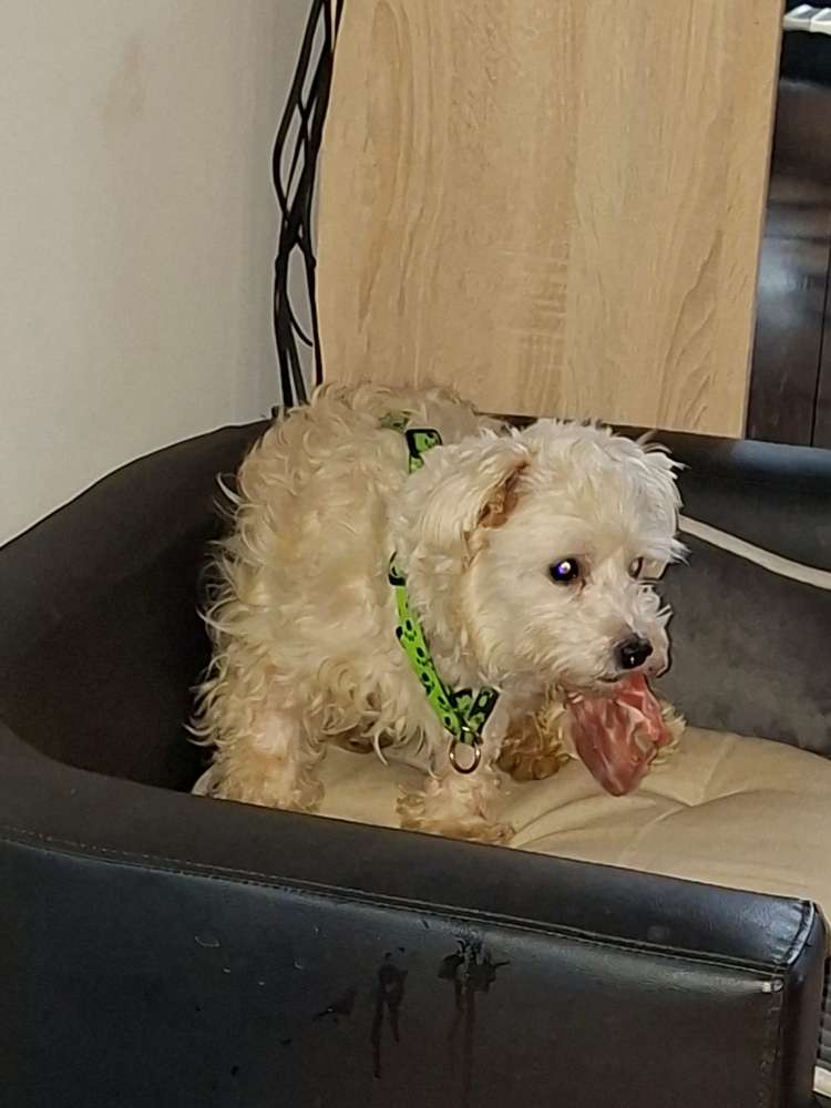 Suchmeldung-Jack-Profilbild