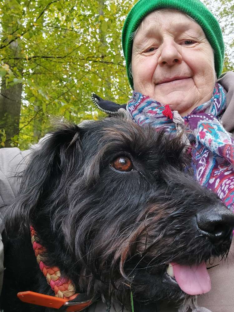 Hundetreffen-Gemeinsame Gassirunde-Profilbild