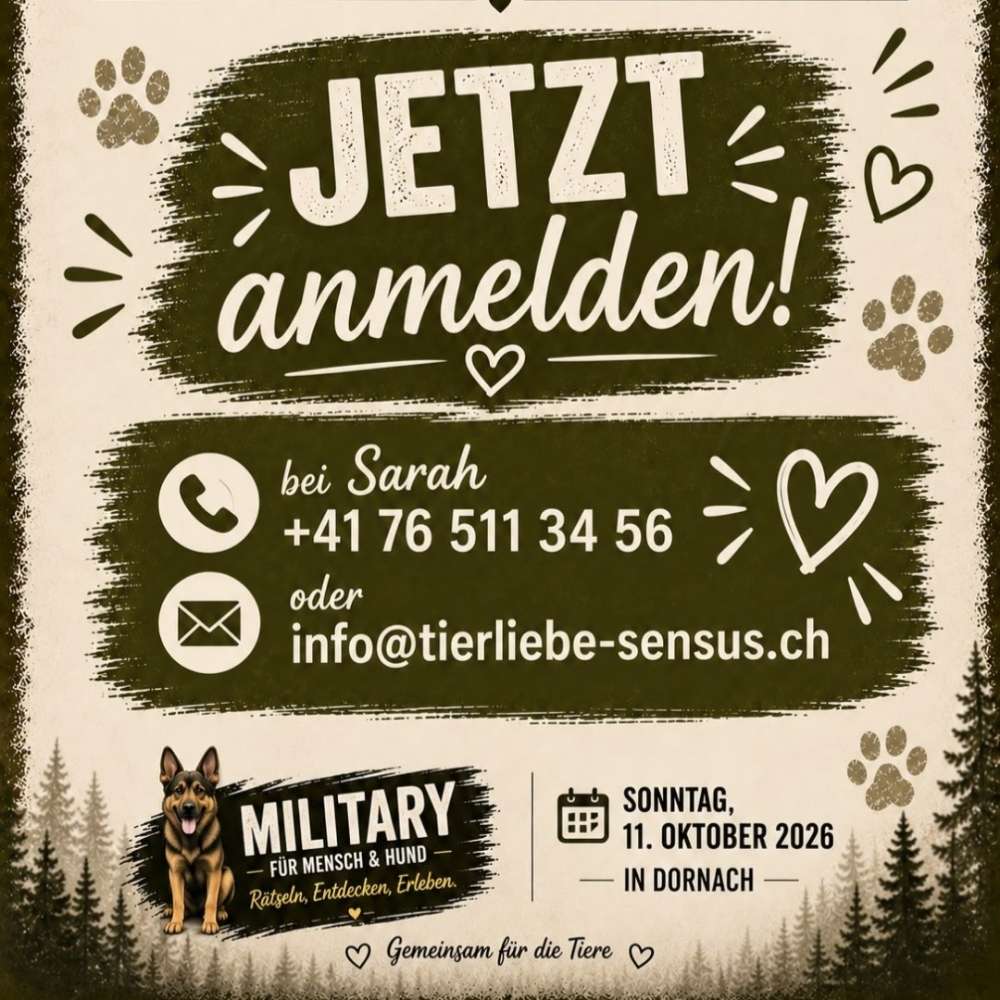 Hundetreffen-Military für Mensch & Hund 🐾🐕🐾-Profilbild