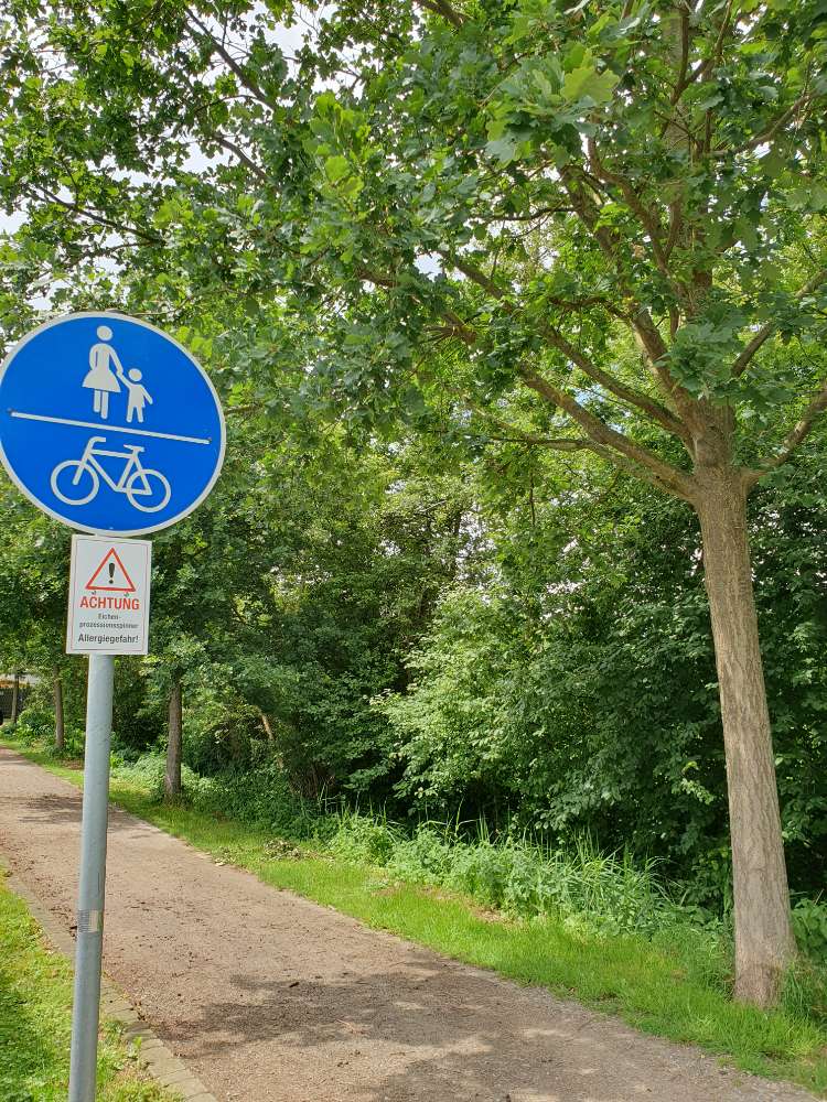 Giftköder-Eichenprozessionsspinner-Profilbild