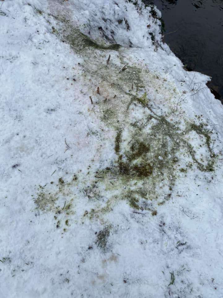 Giftköder-Rattengift-Profilbild