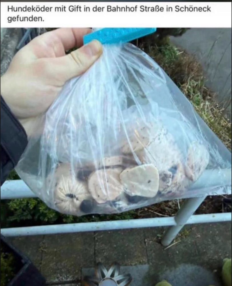 Giftköder-Giftköder-Profilbild