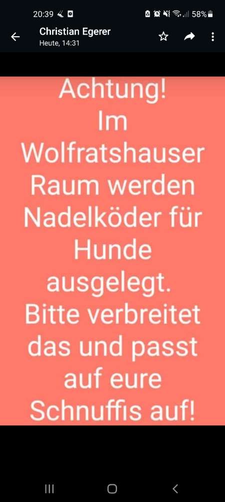 Giftköder-Köder mit Nadeln in Wolfratshausen-Profilbild