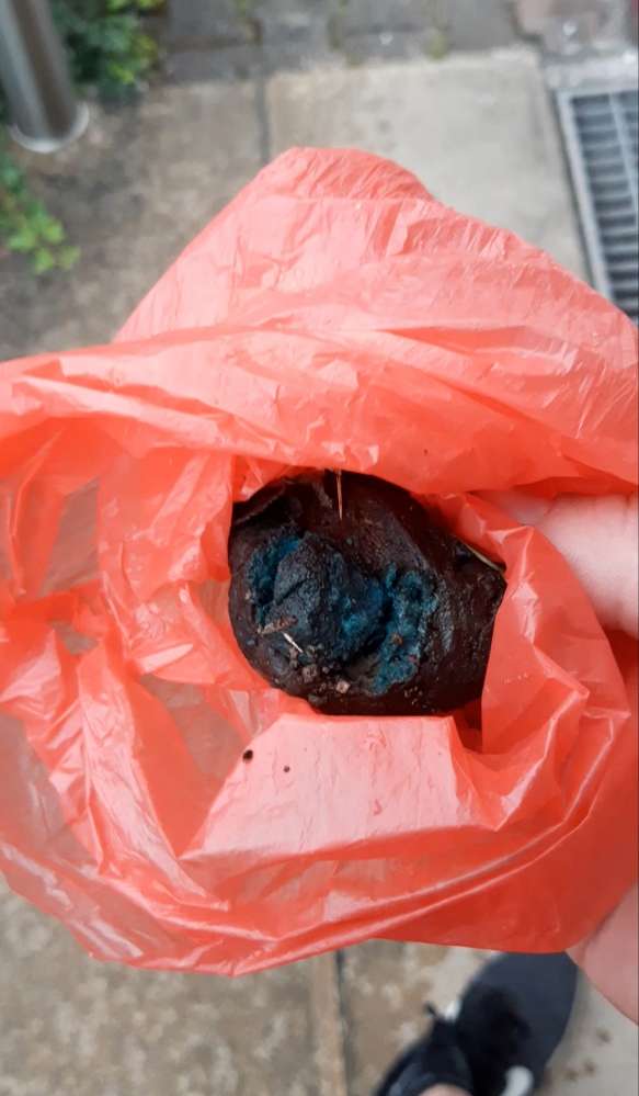 Giftköder-Giftköder auf der Wiese-Profilbild