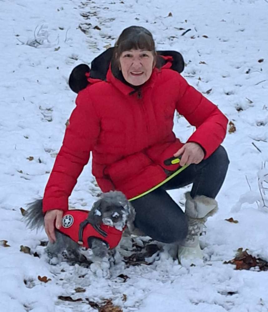 Hundetreffen-Gemeinsame Spaziergänge-Profilbild