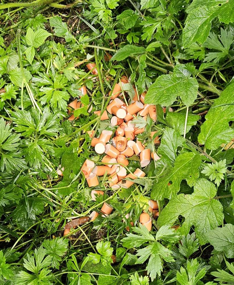 Giftköder-Wurststücke Neheim-Moosfelde-Profilbild