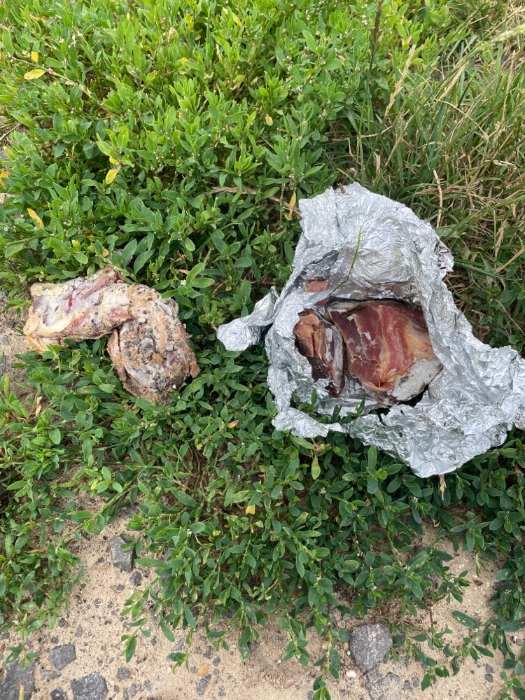 Giftköder-Rohes Fleisch!-Profilbild