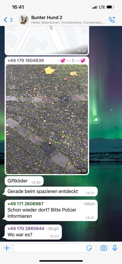 Giftköder-Giftköder-Profilbild