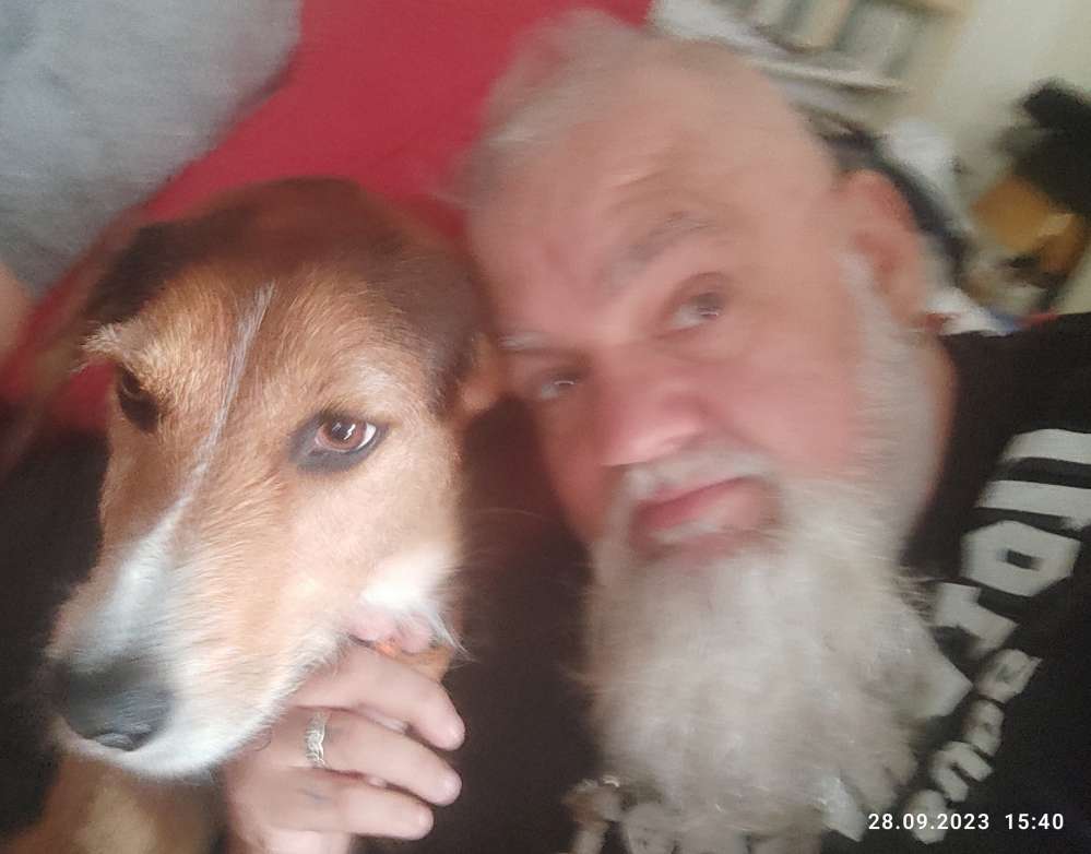 Hundetreffen-Gassirunden in und um Harsefeld.Neue Hunde, neue Menschen treffen.-Profilbild