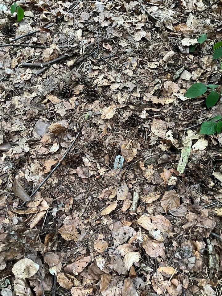 Giftköder-Rasierklingen gefunden-Profilbild