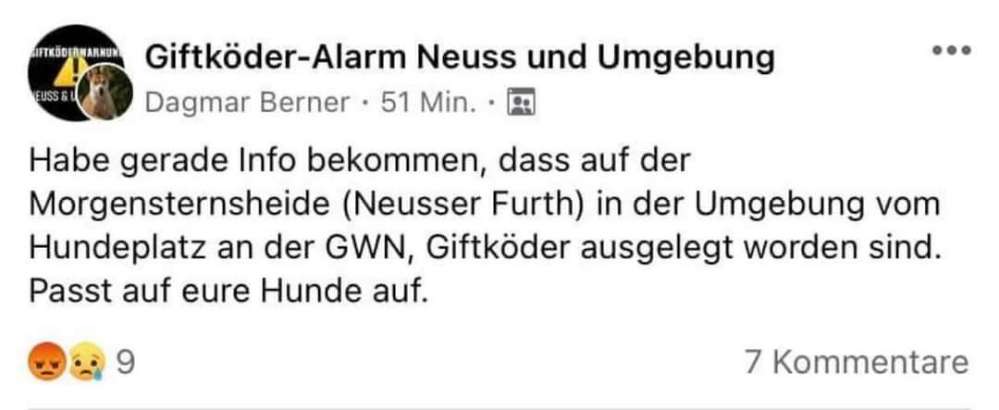 Giftköder-Giftköder-Profilbild