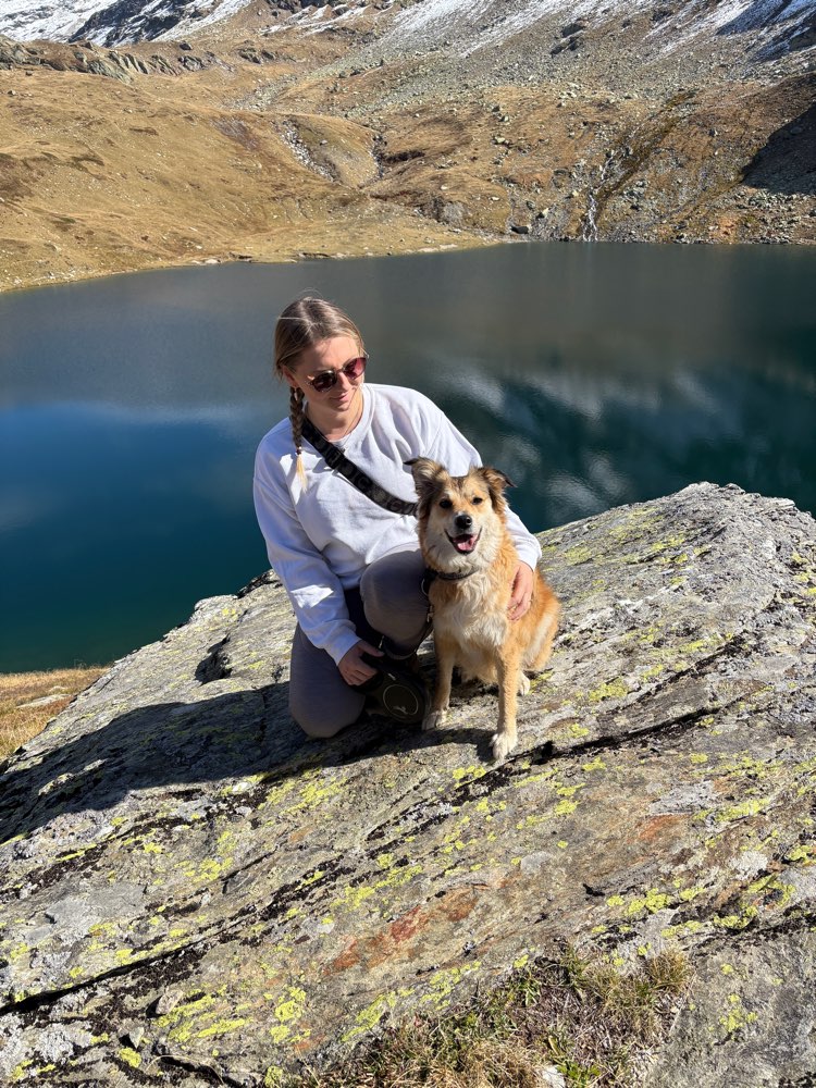 Hundetreffen-Umzug nach BadSchussenried-Profilbild