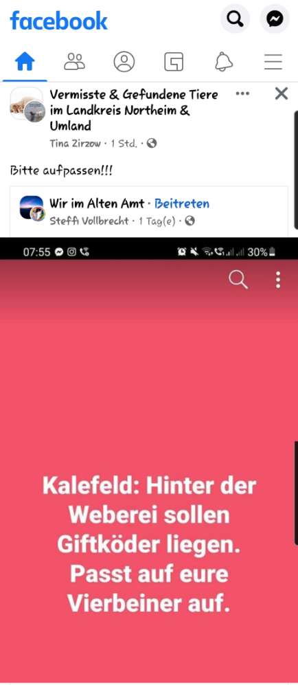 Giftköder-Giftköder-Profilbild