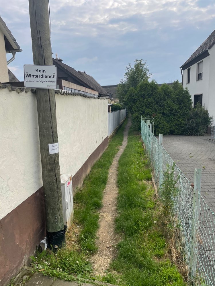 Giftköder-Giftköder-Profilbild