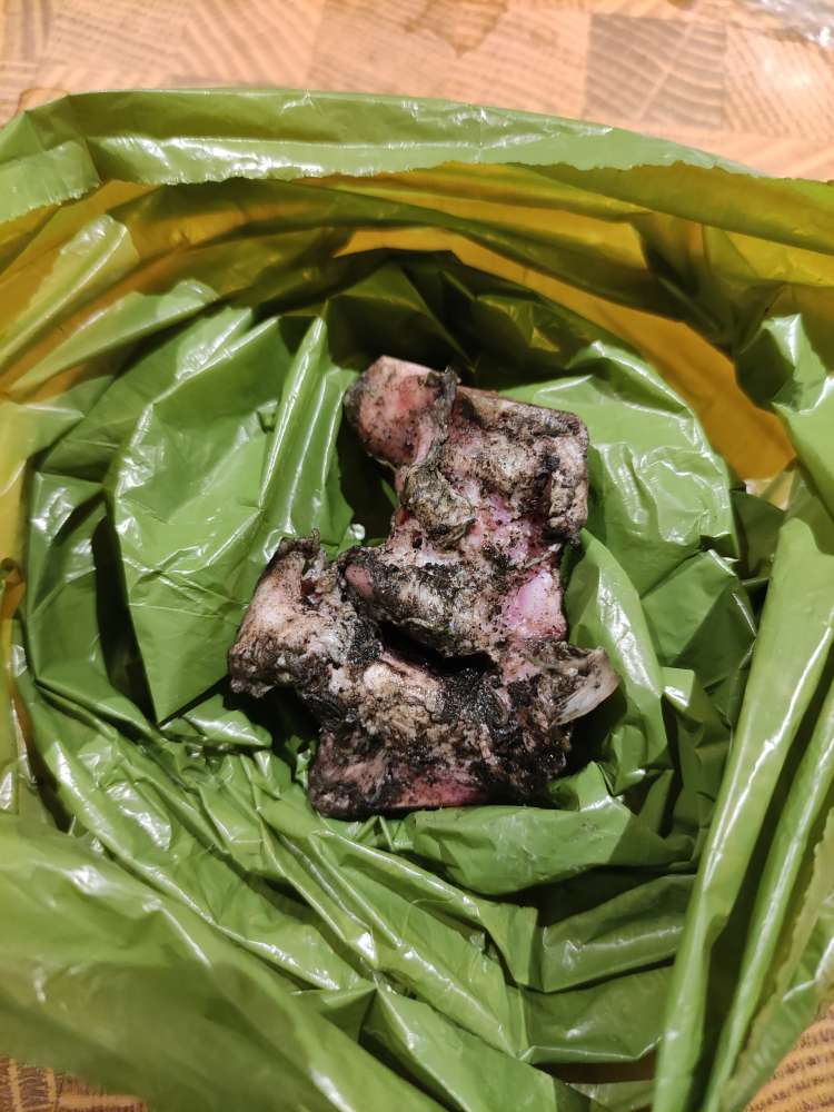 Giftköder-Knochen gefunden-Profilbild