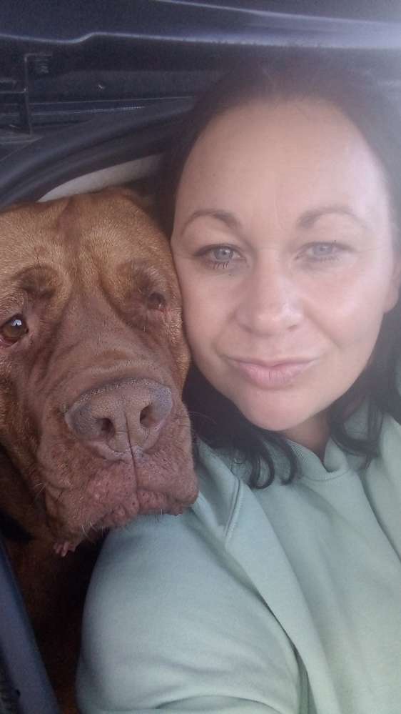 Hundetreffen-Bordeaux Dogge sucht grossen Spielkameraden-Profilbild