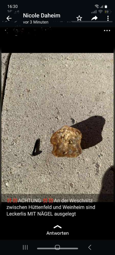 Giftköder-Lecketlis mit nägeln-Profilbild