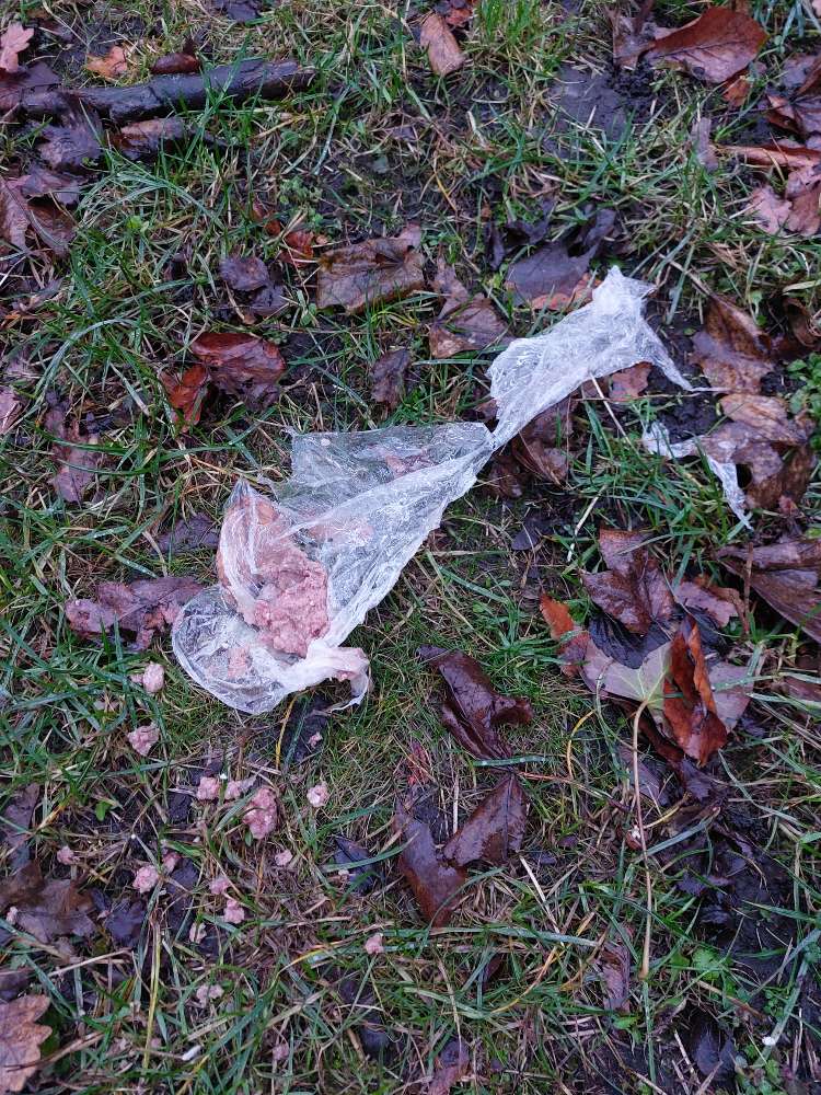 Giftköder-Verdächtiges Hackfleisch in Plastiktüte-Profilbild