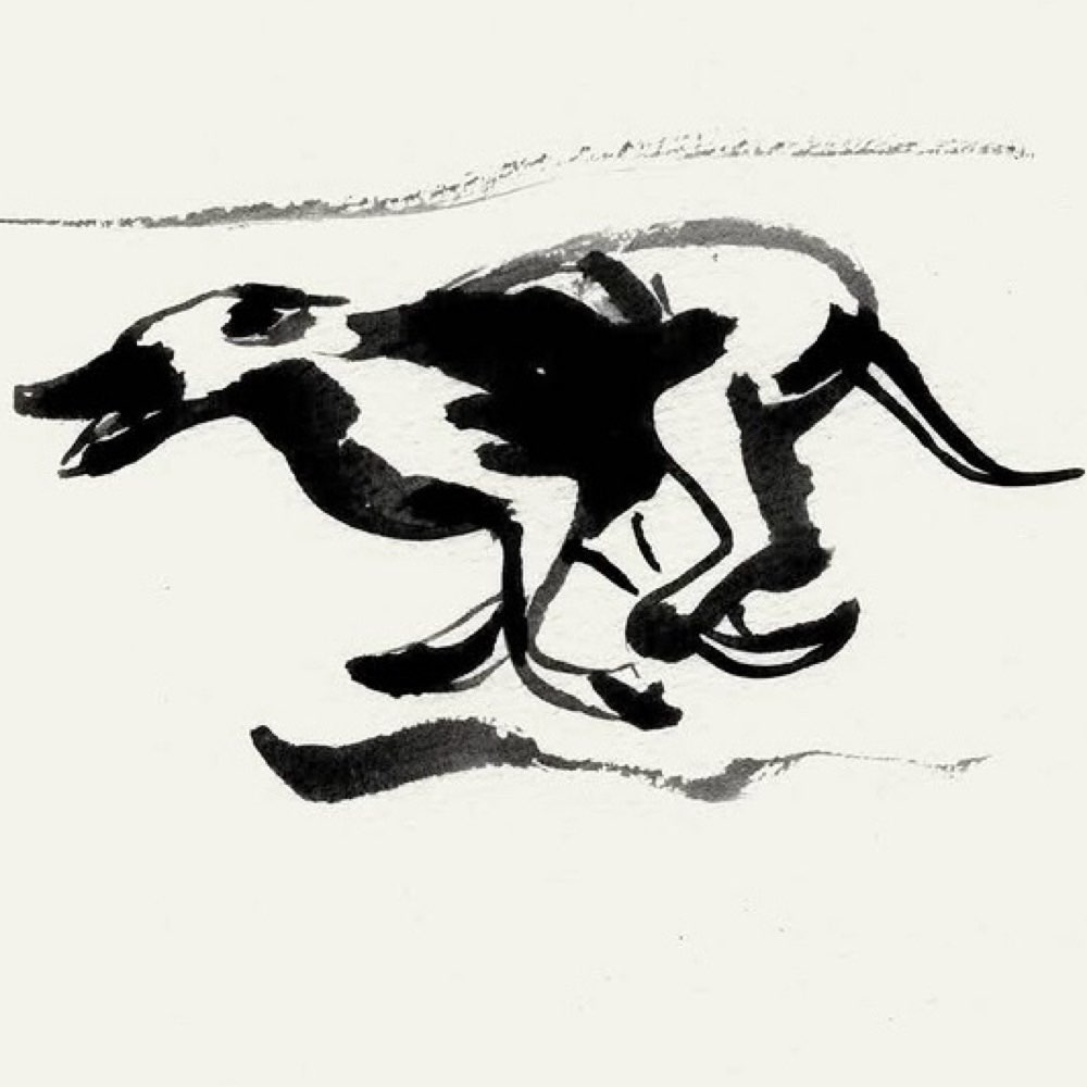 Hundetreffen-Gemeinsame Spaziergänge-Profilbild