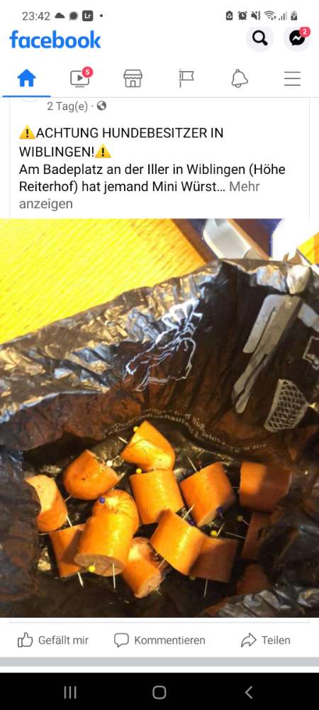 Giftköder-Würstchen mit Nadeln-Profilbild