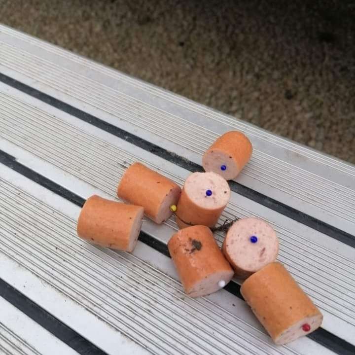 Giftköder-Würstchen mit Stecknadeln-Profilbild