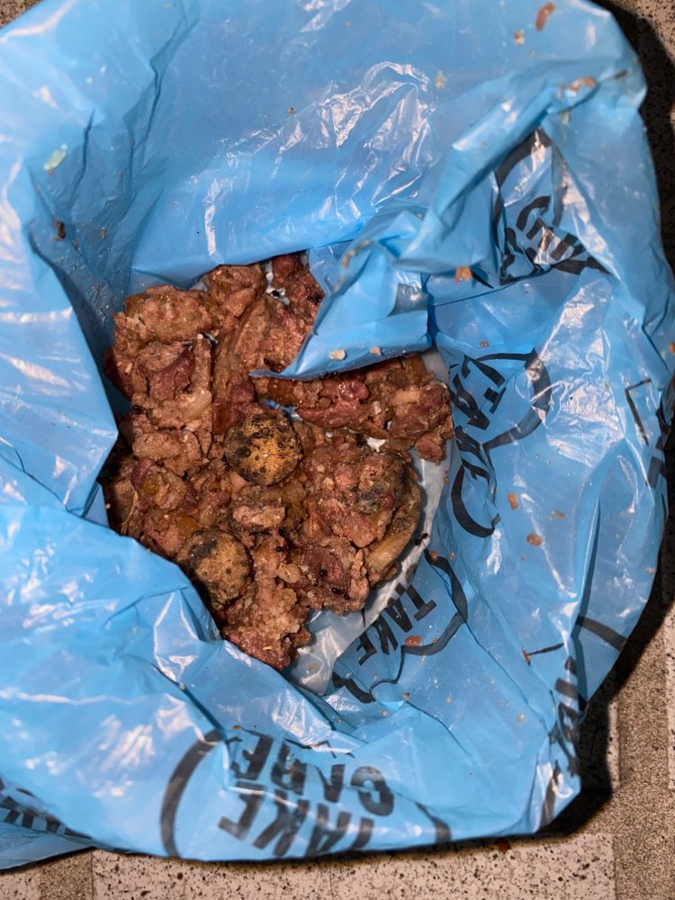 Giftköder-Nassfutter (Gift oder Erbrochenes?)-Profilbild