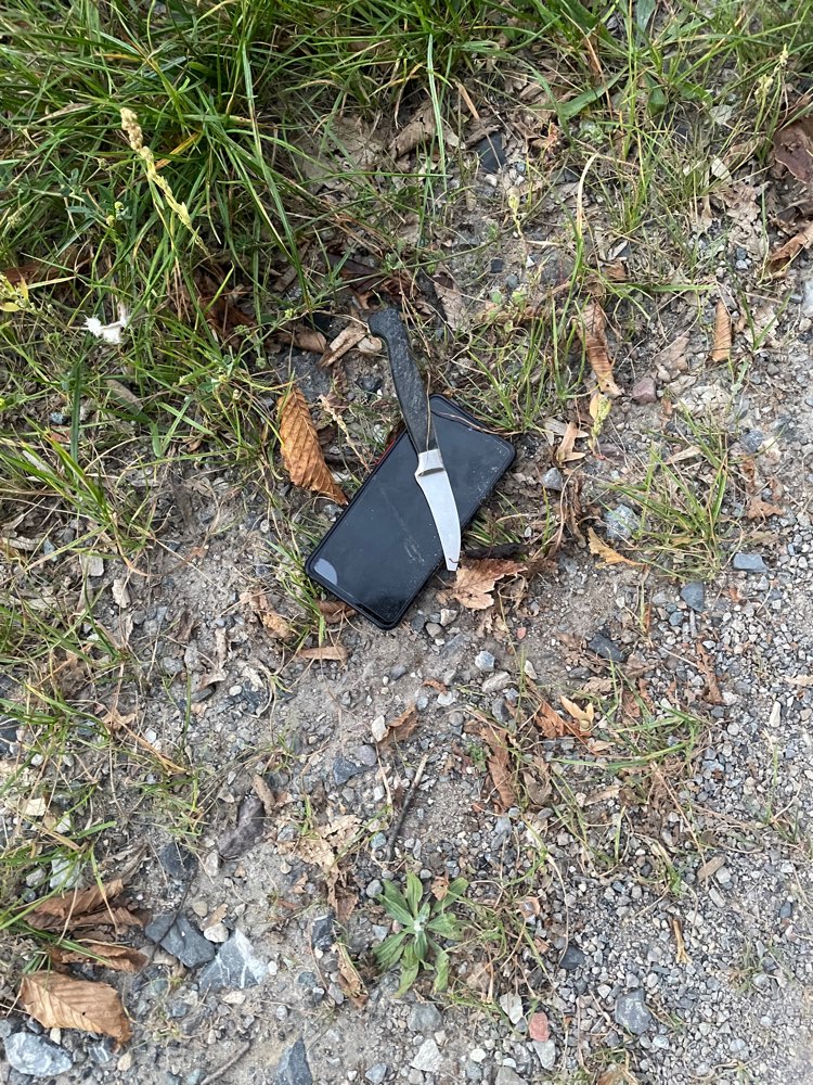 Giftköder-Evtl. Giftköder Wolbecker Straße/ Kanal-Profilbild