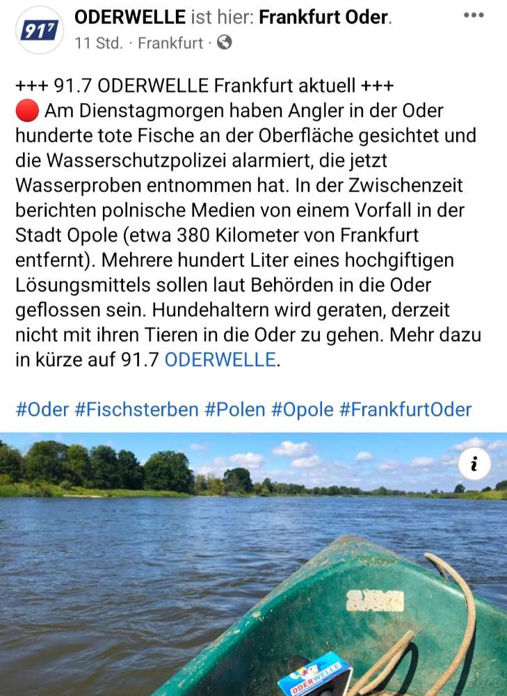 Giftköder-eventuell Mesytelen in der Oder-Profilbild