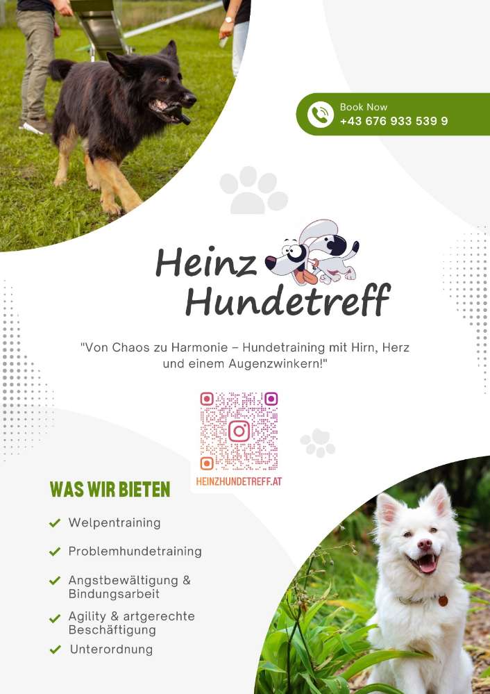 Hundetreffen-Super Hundetraining-Profilbild