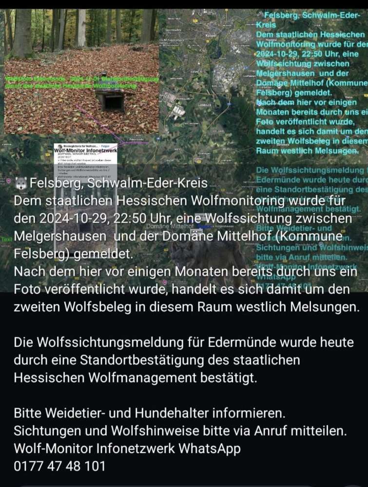 Giftköder-Wolfssichtung-Profilbild